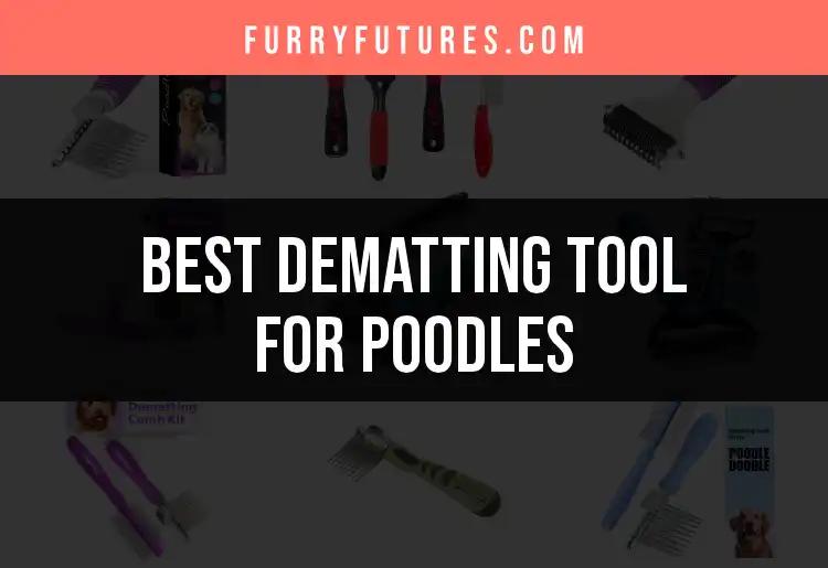 15 Best Dematting Tools for Poodles to Keep Them Mat-Free
