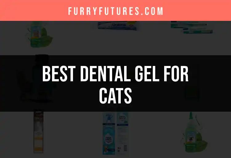 15 Best Dental Gels for Cats to Keep Their Grins Bright