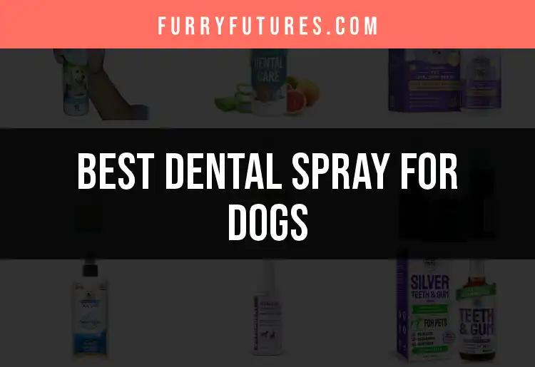 19 Must-Have Dental Sprays for Dogs to Promote Fresh Breath