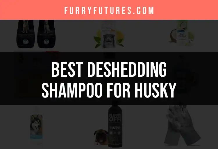 15 Top Deshedding Shampoos for Your Husky's Glorious Coat