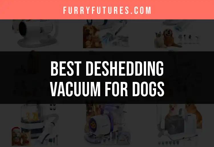 17 Best Deshedding Vacuums for Dogs to Tame Shedding