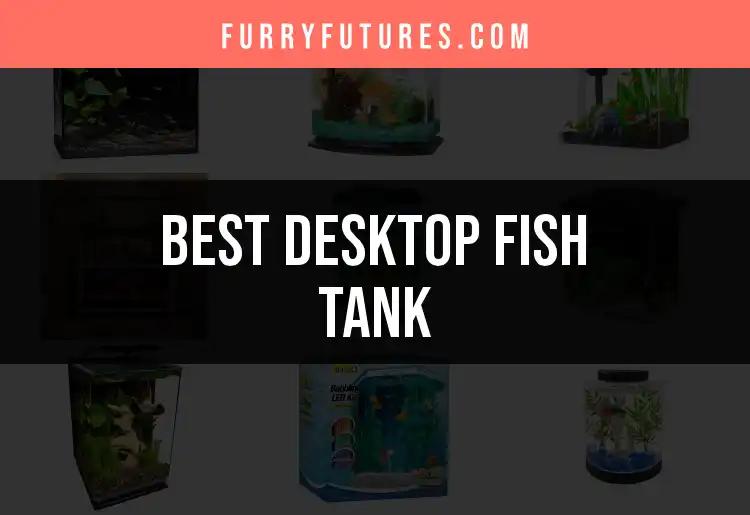 The 17 Best Desktop Fish Tanks to Brighten Your Space