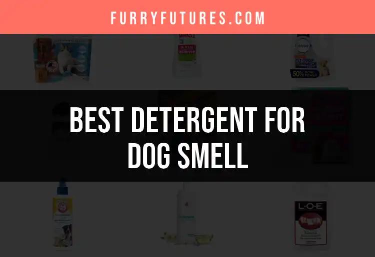 15 Best Detergents for Dog Smell You Need to Try