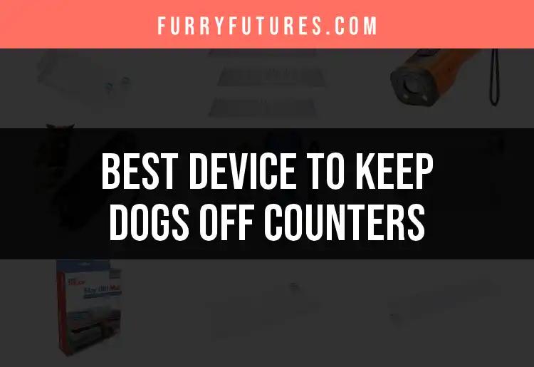 16 Best Devices To Keep Dogs Off Counters