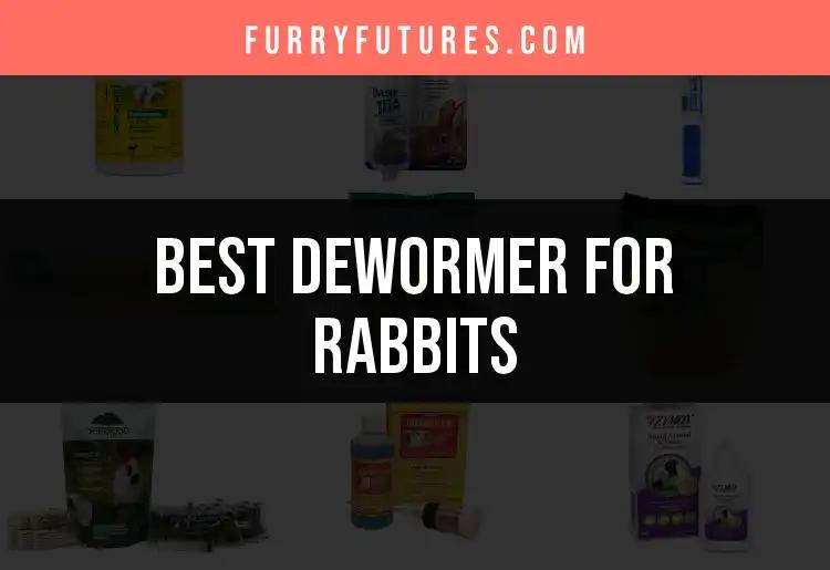 14 Best Dewormers for Rabbits: Quick Picks and Expert Tips