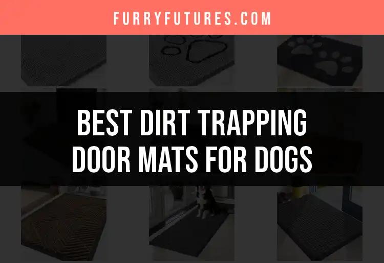 13 Dirt Trapping Door Mats for Dogs: Our Top Picks