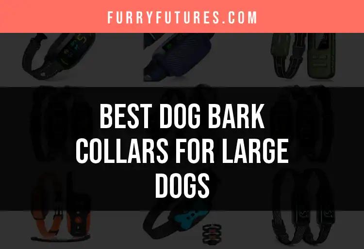 17 Best Dog Bark Collars for Large Dogs to Ensure Quiet Moments