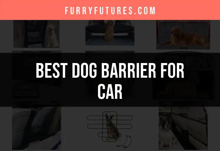 11 Best Dog Barriers for Your Car in 2023