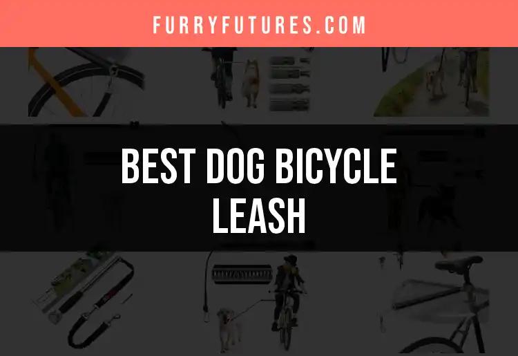 11 Must-Have Dog Bicycle Leashes You'll Love