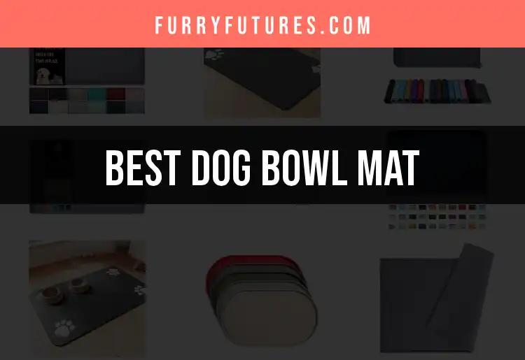 14 Essential Dog Bowl Mats for a Mess-Free Dining Experience