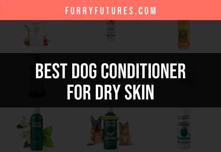 18 Best Dog Conditioners for Dry Skin Your Pup Will Love