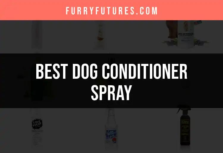 15 Best Dog Conditioner Sprays for a Shiny Coat