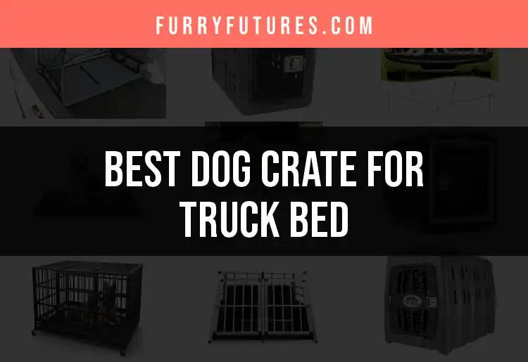 14 Top-Rated Dog Crates for Your Truck Bed