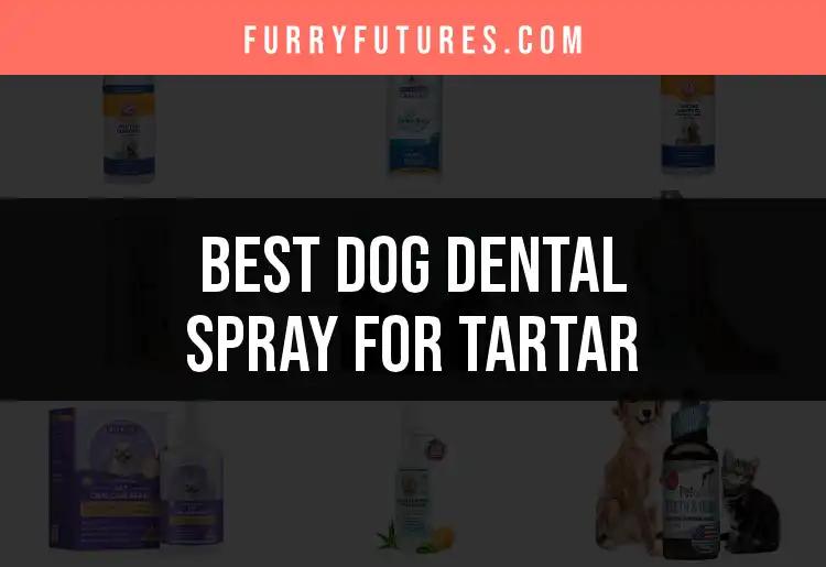 16 Best Dog Dental Sprays for Tartar Control