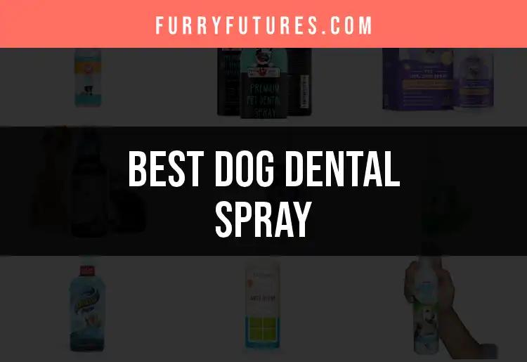 16 Best Dog Dental Sprays for Fresh Breath and Healthy Teeth
