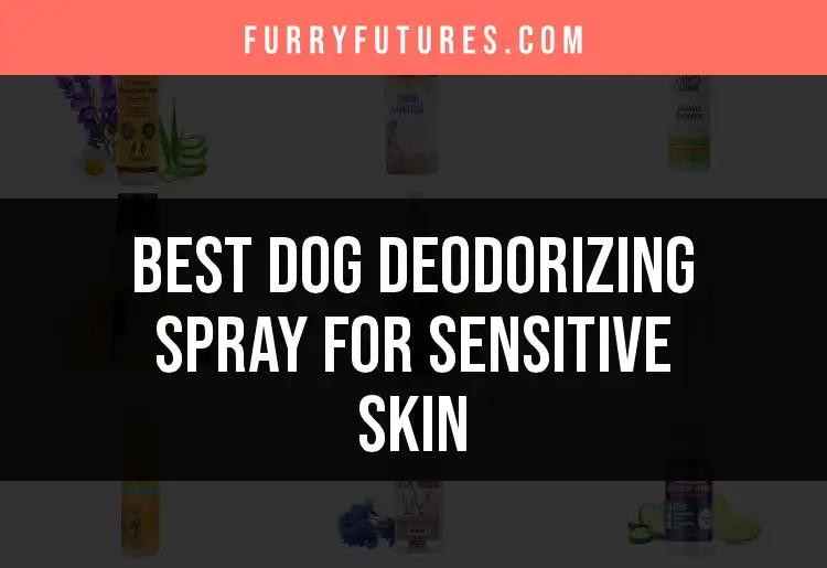 14 Best Dog Deodorizing Sprays for Sensitive Skin