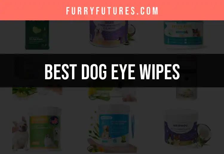 16 Best Dog Eye Wipes for Clear, Happy Eyes