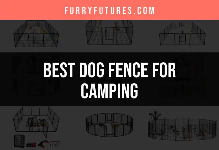 12 Best Dog Fences for Camping Adventures