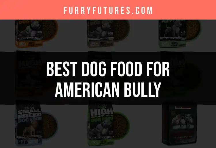 18 Best Dog Foods for American Bully: Top Picks Revealed