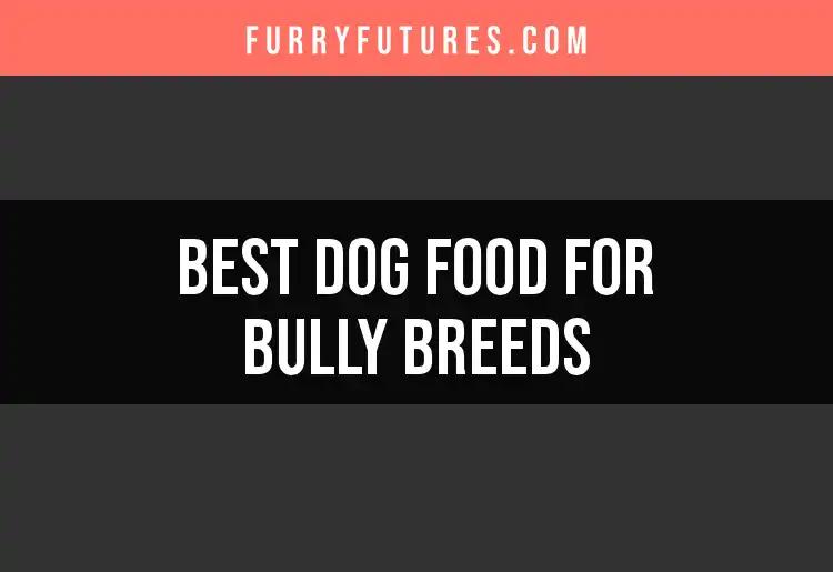 17 Best Dog Foods for Bully Breeds: Our Top Picks