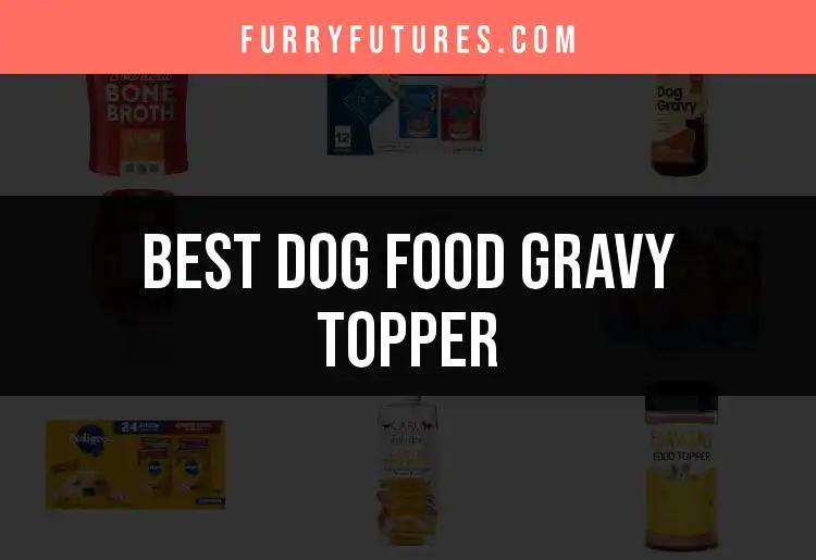 16 Irresistible Dog Food Gravy Toppers for Happy Tails