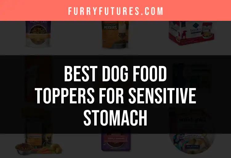 16 Best Dog Food Toppers for Sensitive Stomach Needs