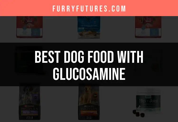 16 Top Dog Foods with Glucosamine for Happy, Healthy Paws