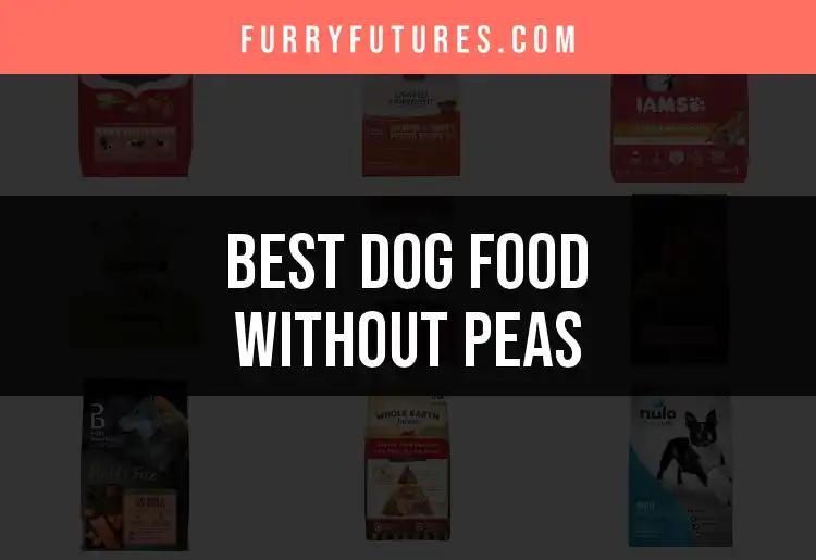 15 Top Dog Foods Without Peas For Picky Pooches