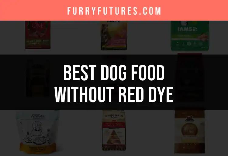 14 Best Dog Foods Without Red Dye for Healthy Pooches