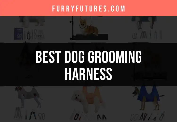 13 Top Dog Grooming Harnesses for Effortless Grooming