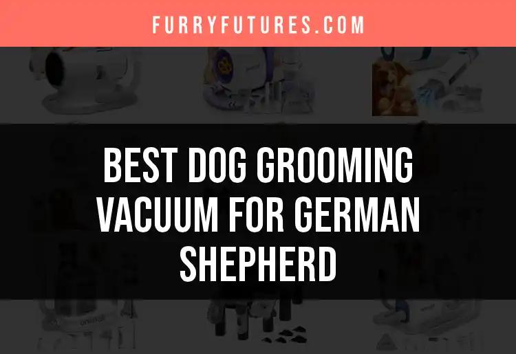 17 Best Dog Grooming Vacuums for German Shepherds