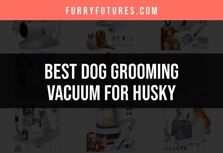 19 Best Dog Grooming Vacuums for Huskies to Make Life Easier