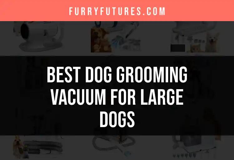 17 Best Dog Grooming Vacuums for Large Dogs