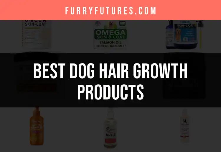 17 Best Dog Hair Growth Products for Lush Coats