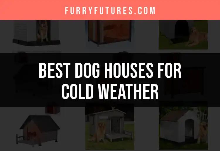 16 Cozy Dog Houses for Cold Weather Comfort