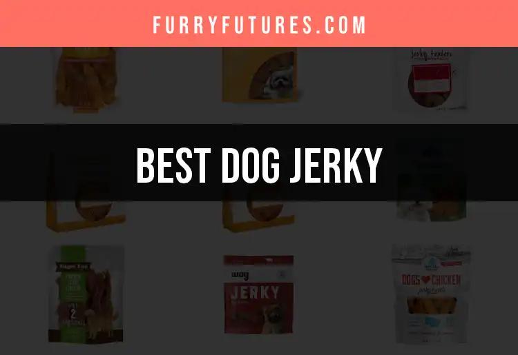 10 Best Dog Jerky Treats for Happy Tails