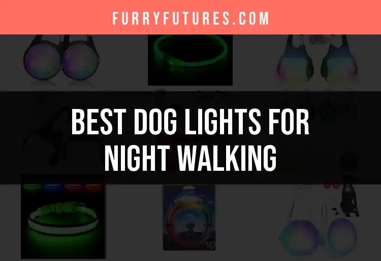 14 Best Dog Lights for Night Walking: Illuminate Your Strolls