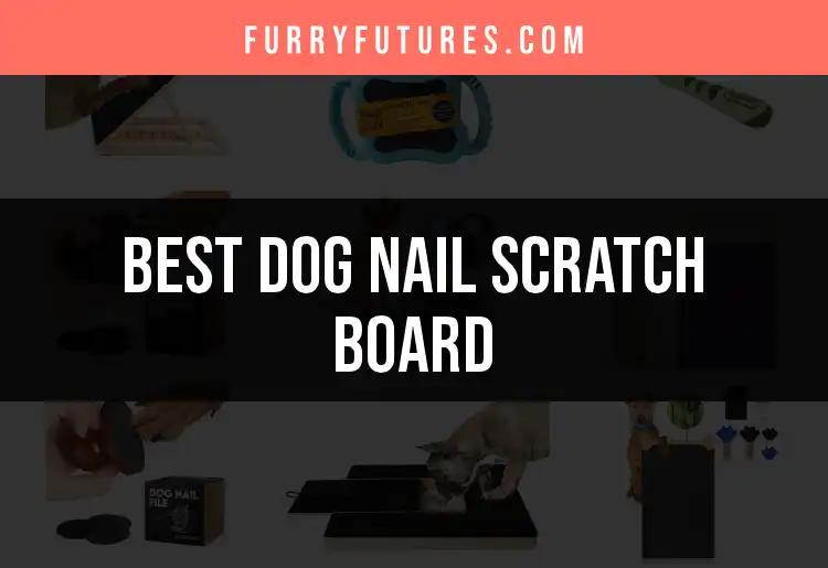 11 Must-Have Dog Nail Scratch Boards for Happy Paws