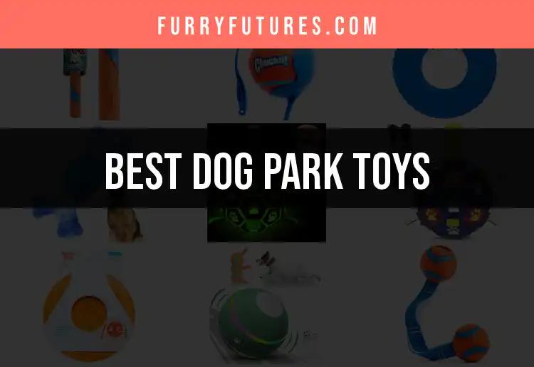 18 Best Dog Park Toys for Playful Pups