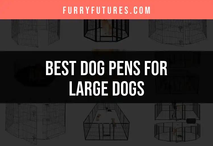 16 Best Dog Pens for Large Dogs: Our Top Selections