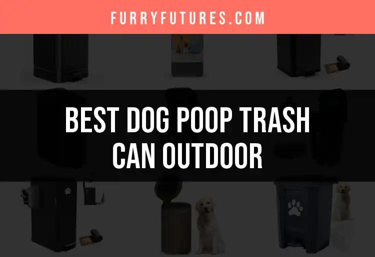 13 Top Dog Poop Trash Cans for Outdoor Convenience