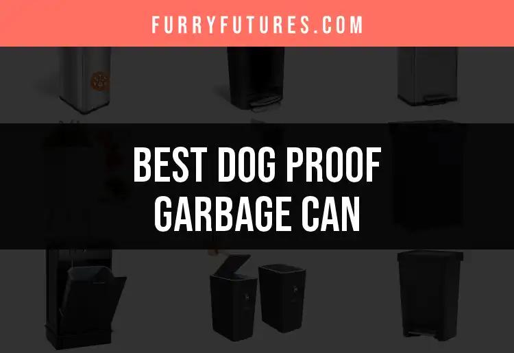 13 Dog Proof Garbage Cans to Keep Your Home Safe