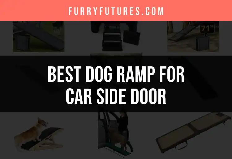 12 Best Dog Ramps for Car Side Door Convenience