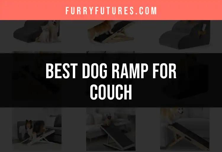 14 Must-Have Dog Ramps for Your Couch
