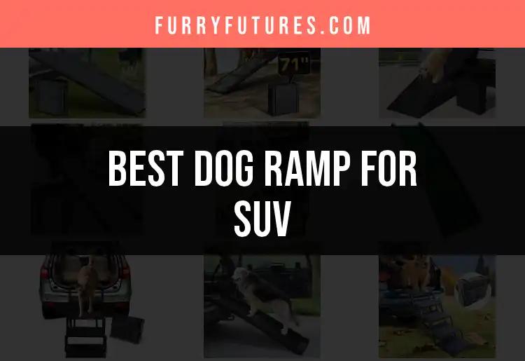 13 Best Dog Ramps for SUVs: Quick Picks for Your Pup