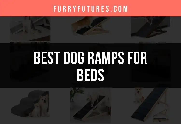 17 Best Dog Ramps for Beds to Enhance Your Pet’s Comfort