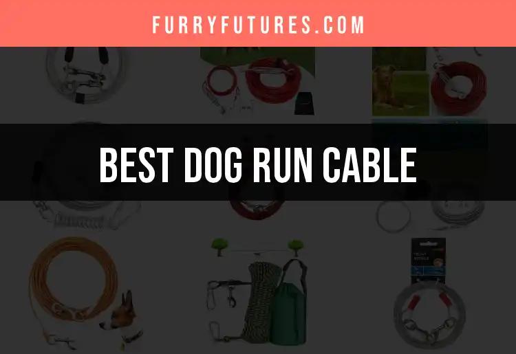 16 Best Dog Run Cables for Happy, Free-Roaming Pups
