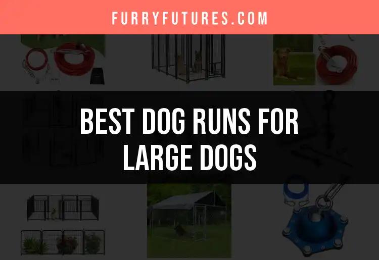 15 Best Dog Runs for Large Dogs to Keep Them Happy