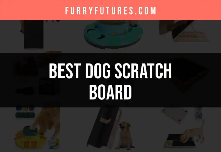11 Best Dog Scratch Boards Your Pup Will Love