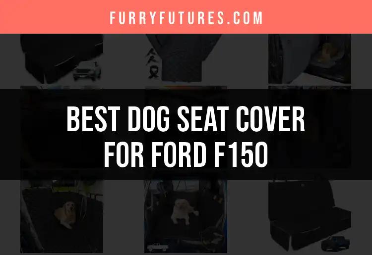 11 Best Dog Seat Covers for Ford F150 Models